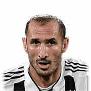 G. Chiellini
